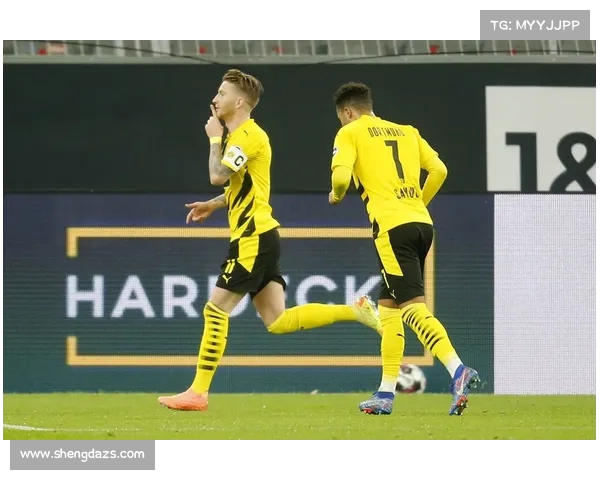 德甲强队崛起之路：从传统豪门到新兴霸主的全景分析